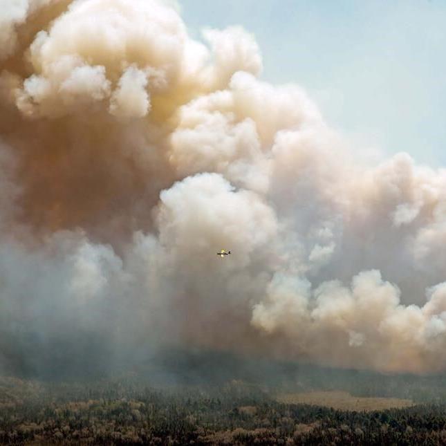 Nova Scotia firefighters use choppers, walkers to stamp out wildfire hot spots
